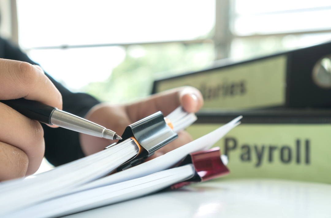 What is the Role of an HR Payroll Consultant? What is the Role of an HR Payroll Consultant?