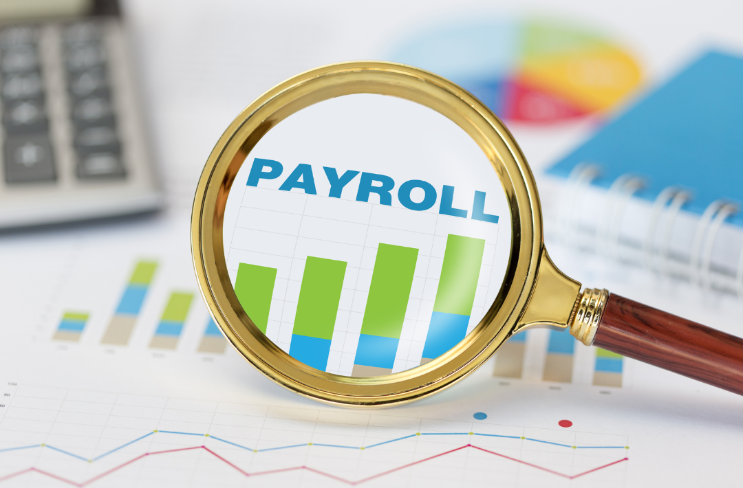 How Payroll Audit Companies Can Help Eliminate Common Business Errors