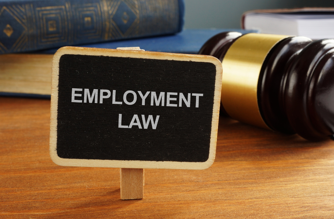 Navigating the Shifting Landscape: A Comprehensive Guide to Employment Law Changes in 2024